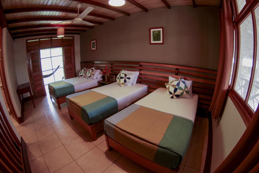 Francisco de Orellana Heliconia Amazon River Lodge מראה חיצוני תמונה