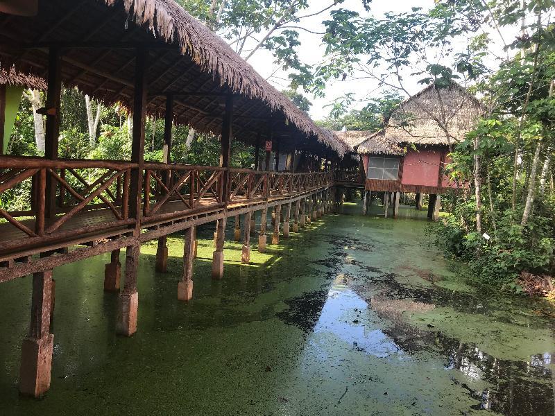 Francisco de Orellana Heliconia Amazon River Lodge מראה חיצוני תמונה